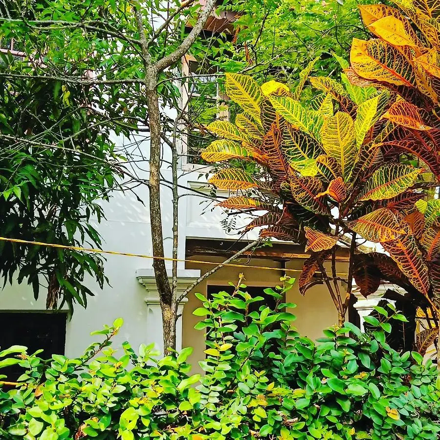 منزل للإقامة Kochi Verdant Heritage Bungalow